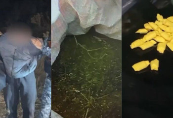 120 иностранцев задержали за контрабанду наркотиков в Туркестанской области