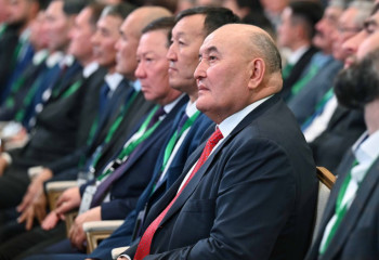 Токаев поднял вопрос целесообразности сдачи деклараций обычными казахстанцами