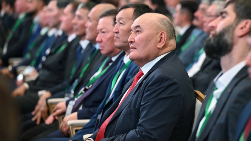  ©Пресс-служба Акорды 