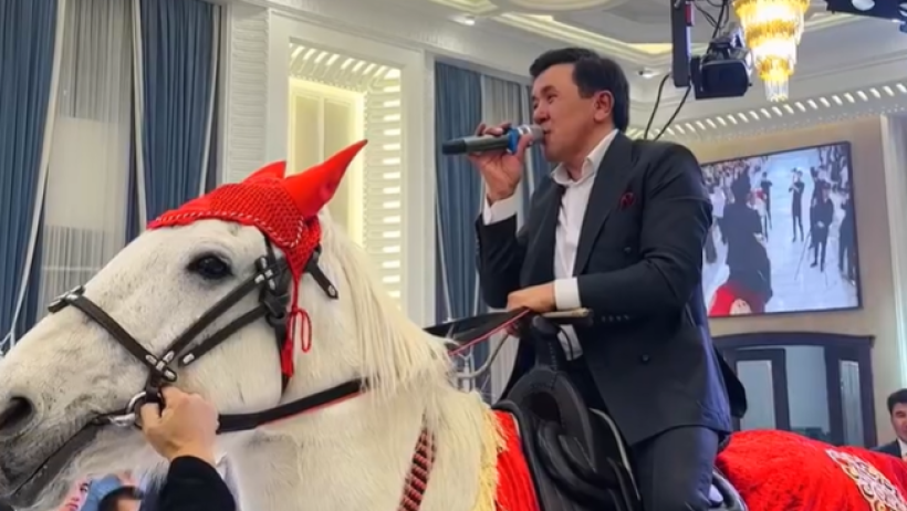  instagram.com/zattybek 