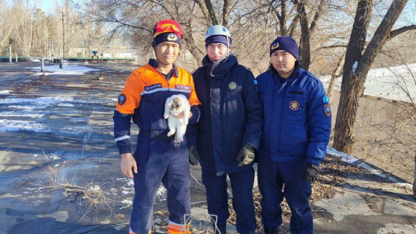  ТЖМ баспасөз қызметі 