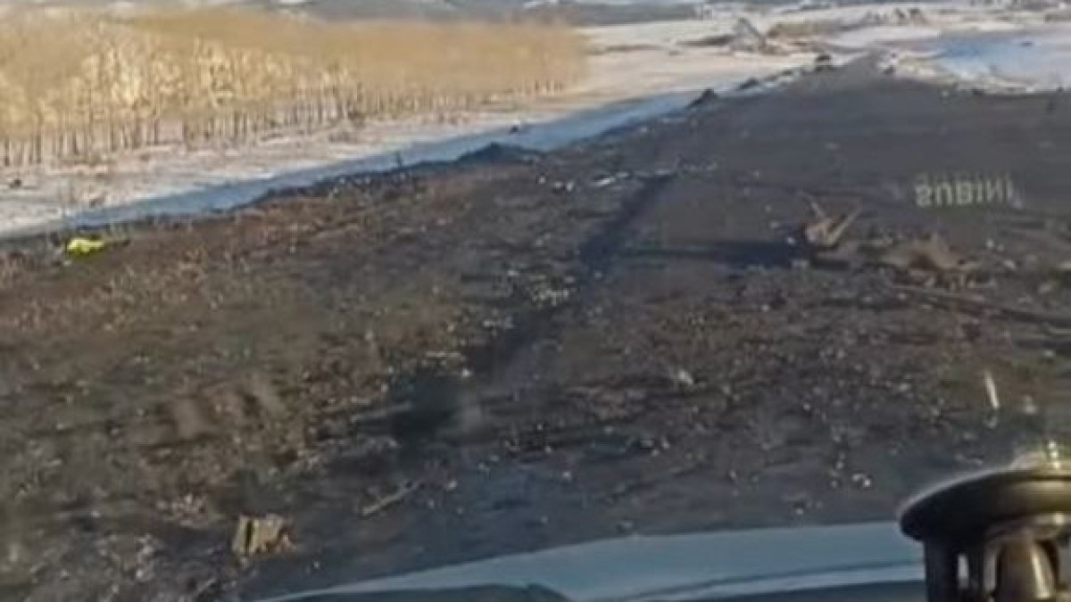  Видеодан кадр 