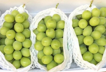 В Казахстане проверили виноград «шайн мускат» на безопасность