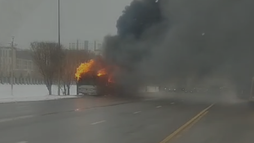  Видеодан кадр 