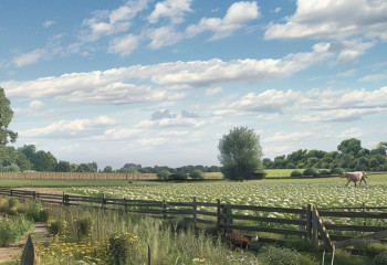 В области Ұлытау возвращено в госсобственность свыше 172 тысяч гектаров земель