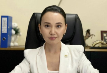 «Күптеген жағдай болды»: ТЖМ басшысы Перизат Қайраттың ұсталуына қатысты