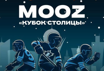 В Астане состоится турнир по Cross Ice Hockey 4x4