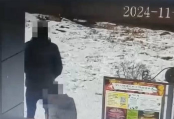 Павлодарец справил нужду за остановкой и попал в объектив видеонаблюдения ЦОУ