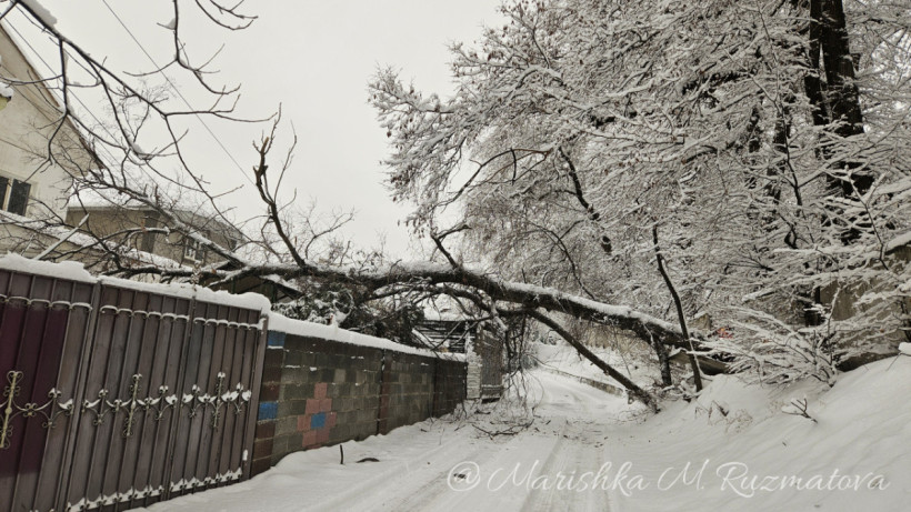  ©El.kz/Марина РУЗМАТОВА/ChatGPT 