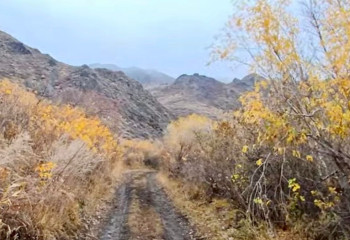 Шекара түбіндегі Тарбағатай ауданында не болып жатыр?