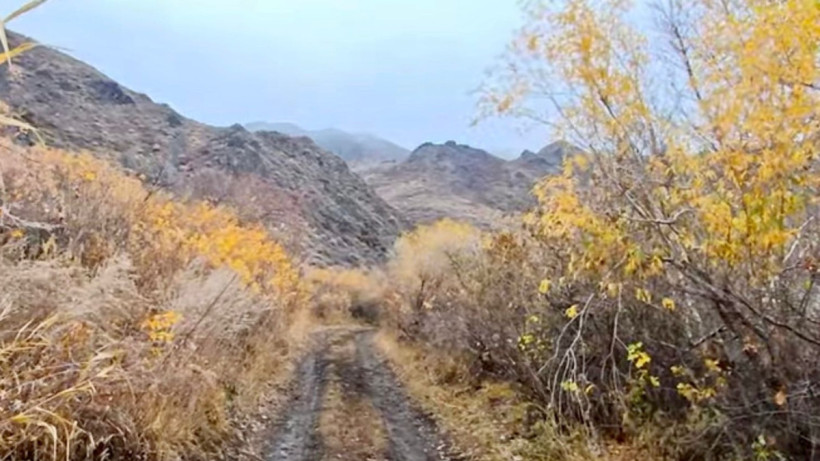  ©El.kz/Қуан СЕЙІТ 