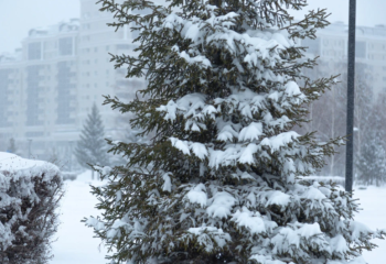 Демалыс күндері ауа райы қандай болады
