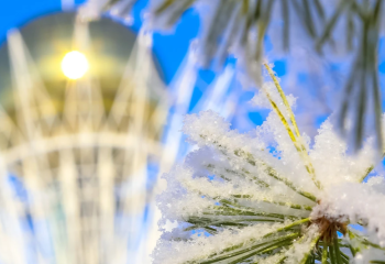 25 қарашаға арналған ауа райы болжамы