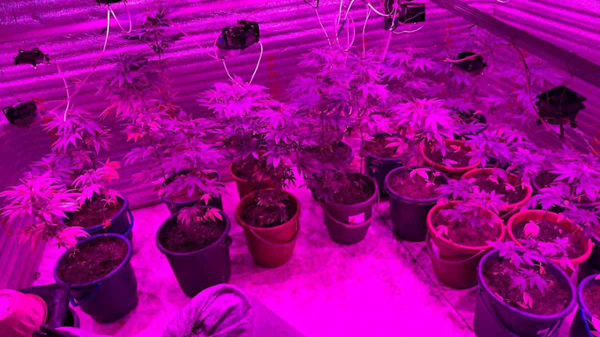  © Пресс-служба ДП Акмолинской области 