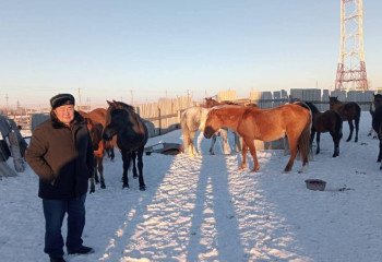 Қостанайда полиция жоғалған 14 жылқыны тауып, иесіне қайтарды