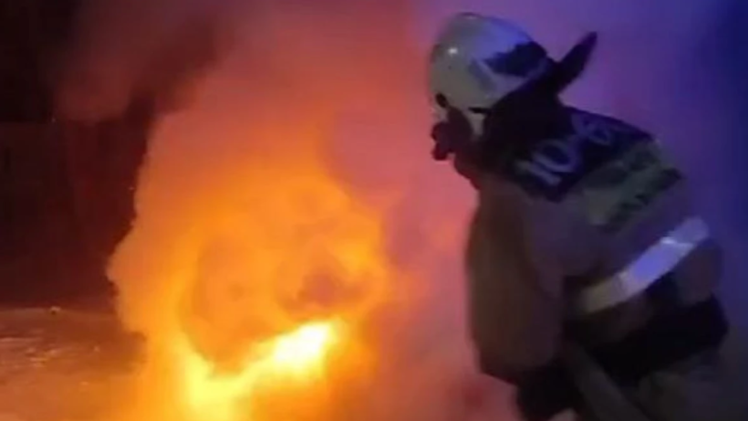  Видеодан кадр 