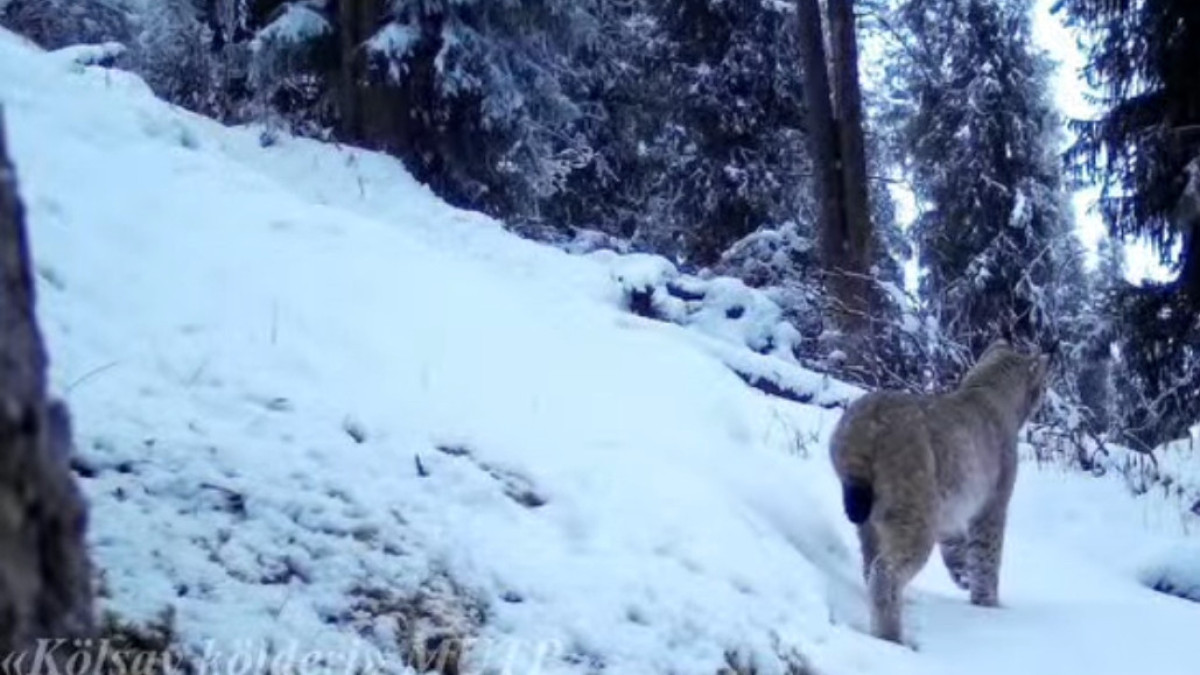  facebook.com/januarlaralmi 