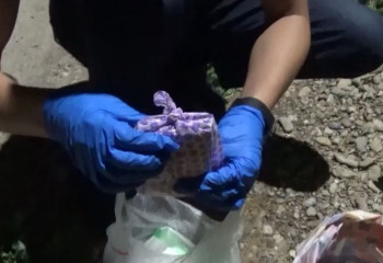 Түркістанда шенеунік 115 қызметкерге берілген сыйақыны алған