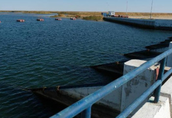 Арал теңізіне тағы 1,6 млрд текше метр су жіберіледі