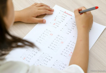 Рассчитываем на учреждение казахстанских школ в приграничных городах России – Токаев