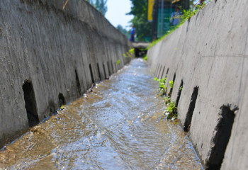 В Алматы высажено более 160 тысяч деревьев и обновлено 58 километров арыков