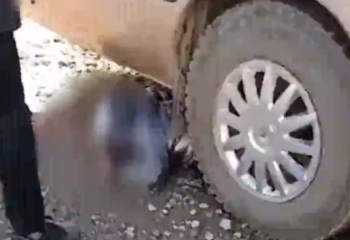 Алматы облысында мектепке бала таситын көлік оқушыны басып өлтірді