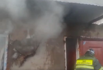 Алматы облысында өрт шыққан үйден анасы мен баласы құтқарылды