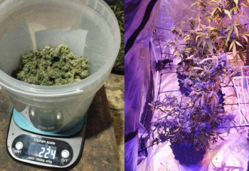 В Акмолинской области ликвидирована домашняя нарколаборатория