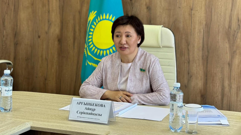  Айнур Аргынбекова/Facebook 