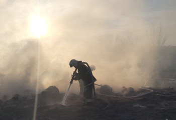 В ЗКО пожар уничтожил 37 тонн сена и 14 голов скота