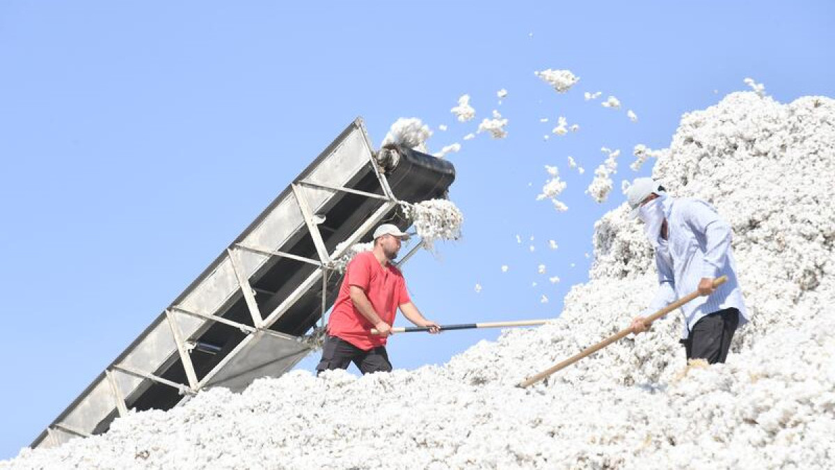  пресс-служба акима Туркестанской области 