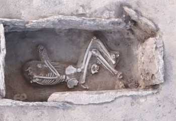 Захоронения эпохи бронзы обнаружили в Карагандинской области