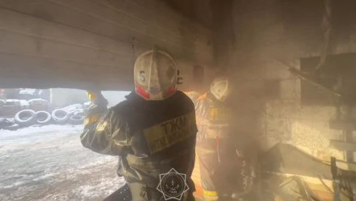  Видеодан кадр 