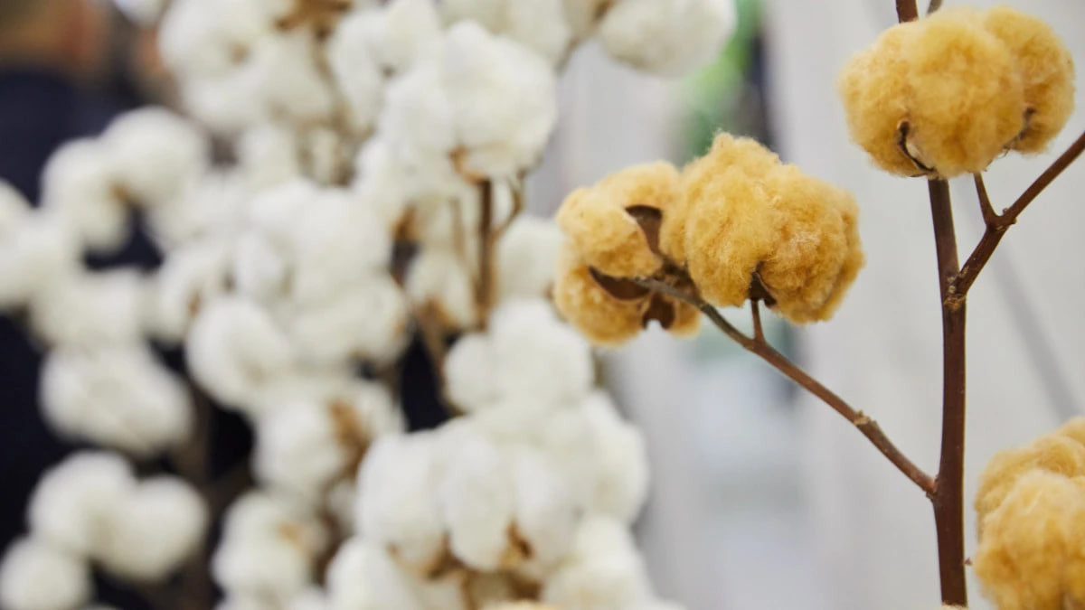  ©El.kz/Артем ЧУРСИНОВ 