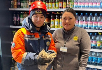 Астанинские спасатели пришли на помощь котенку