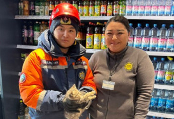 Астанада құтқарушылар мысықты аман алып қалды