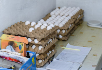 Как используют льготные кредиты для бизнеса в Северо-Казахстанской области