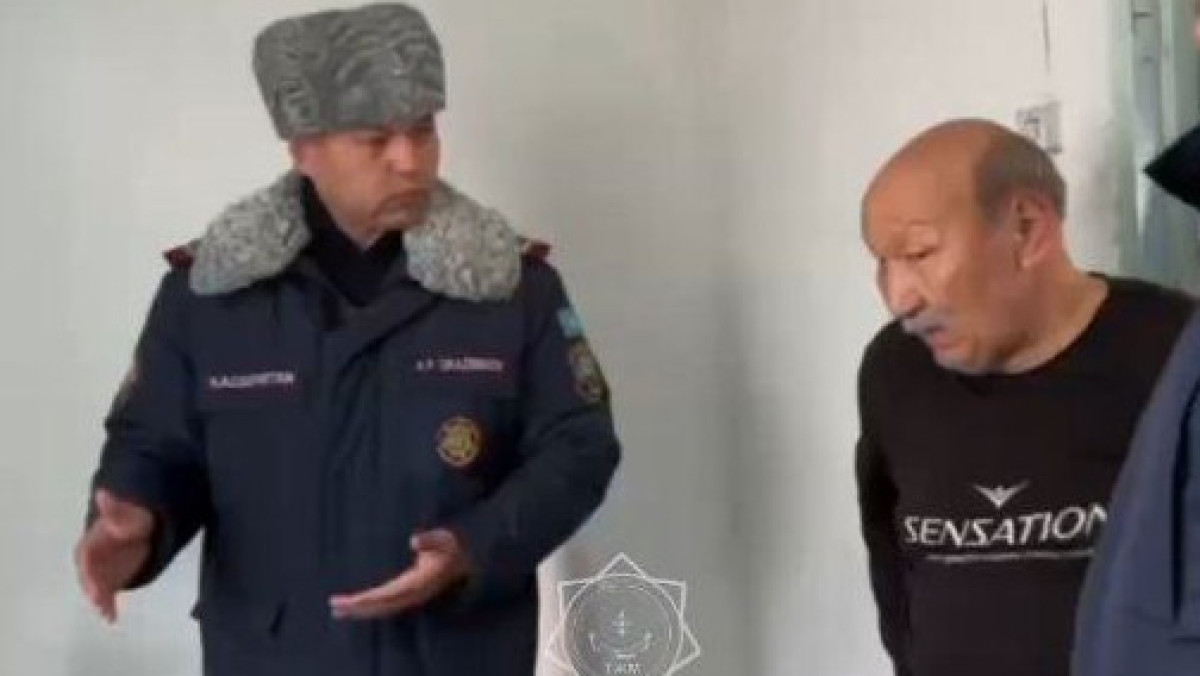  Видеодан кадр 