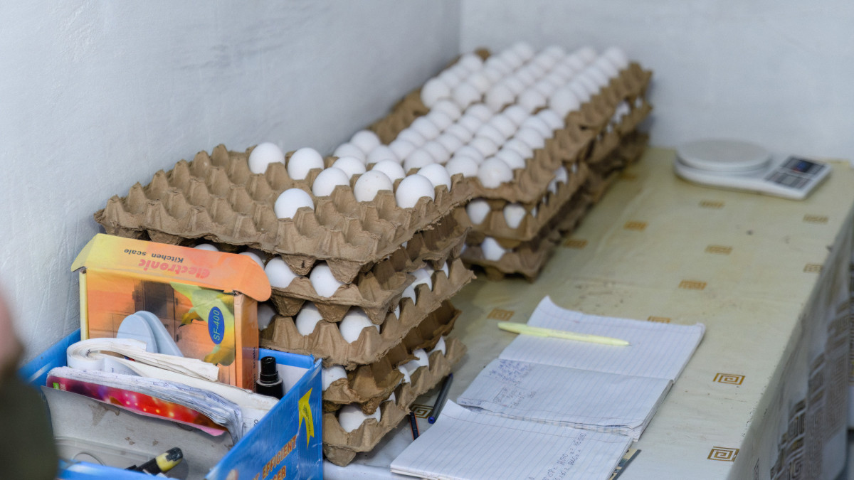  © пресс-служба Правительства РК 