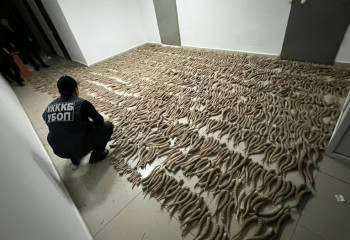 Қызылорда облысында екі мыңнан астам киік мүйізі тәркіленді