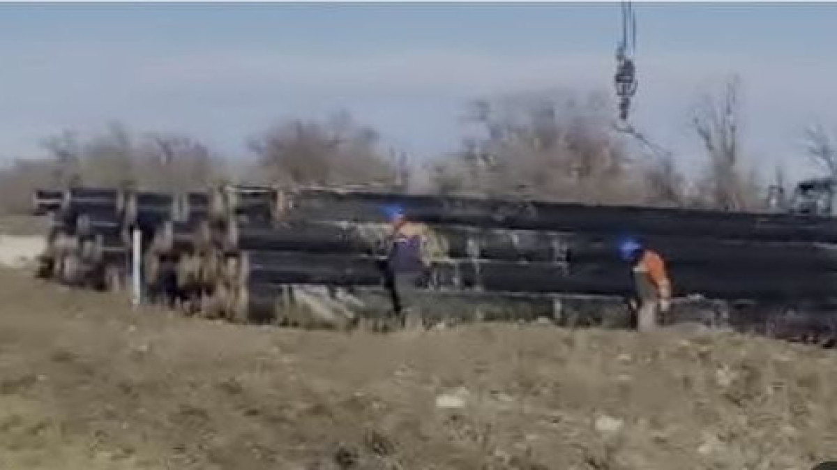  Видеодан кадр 