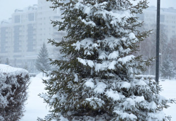 Синоптиктер желтоқсанға арналған ауа райы болжамын ұсынды