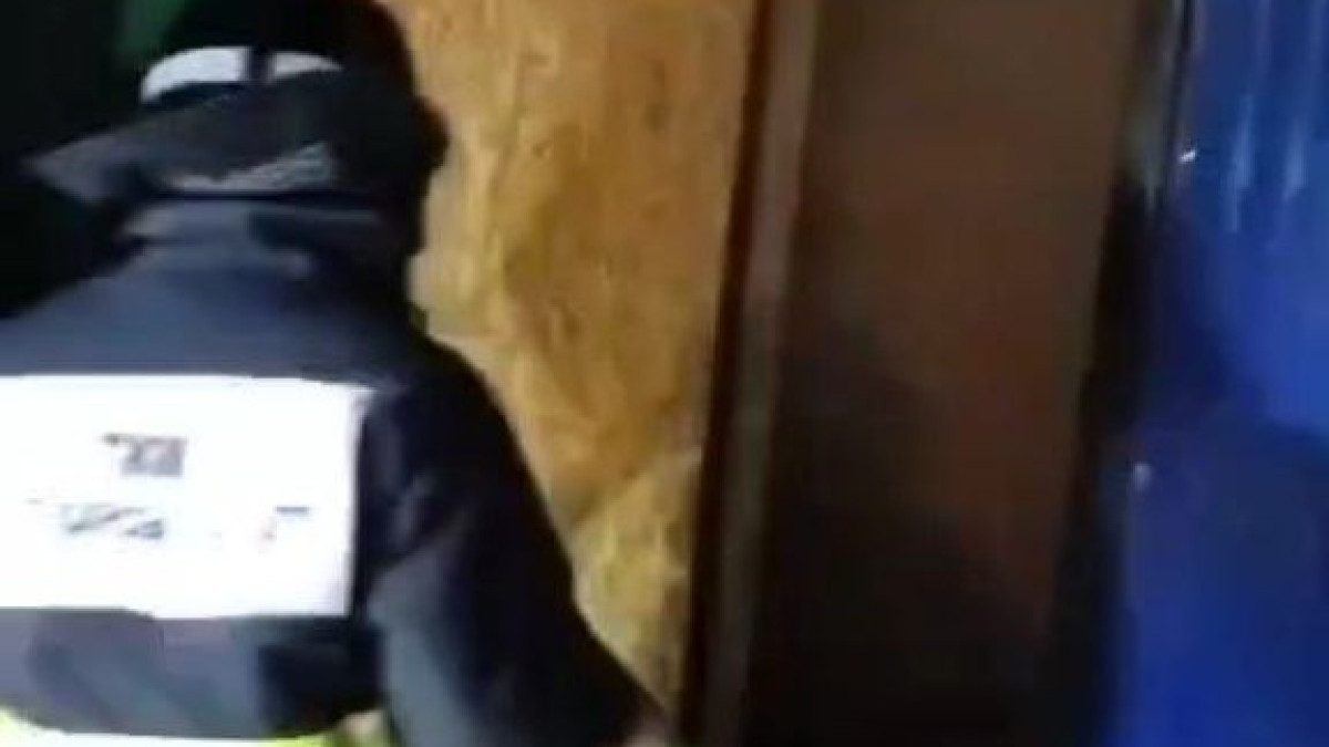  Видеодан кадр 