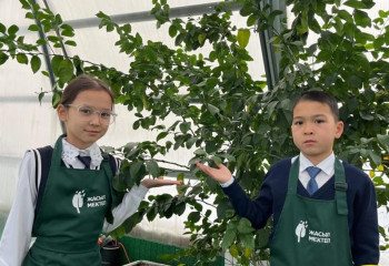 Астанада 5-сынып оқушылары жылыжайда лимон өсіріп, өнім алып отыр