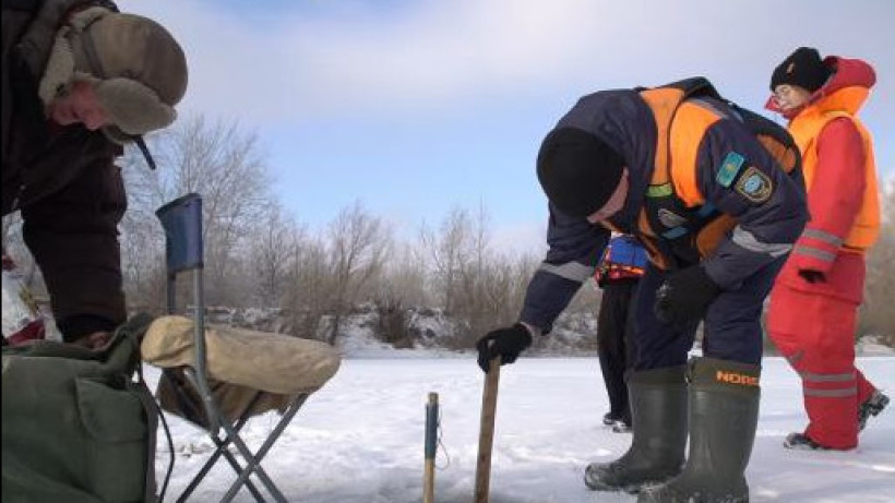  Видеодан кадр 