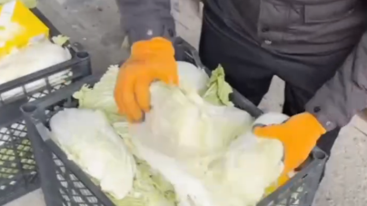  Видеодан кадр 