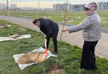 «Таза Қазақстан»: Түркістанда 3 мың тоннадай қоқыс шығарылып, 1 млн ағаш отырғызылды