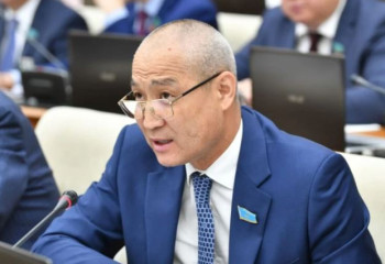 «Не қылған жігіт ол?». Депутат қыз алып қашатын жігіттерді сынады