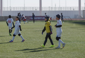 Спорттық атақтарды беру ережелері өзгереді