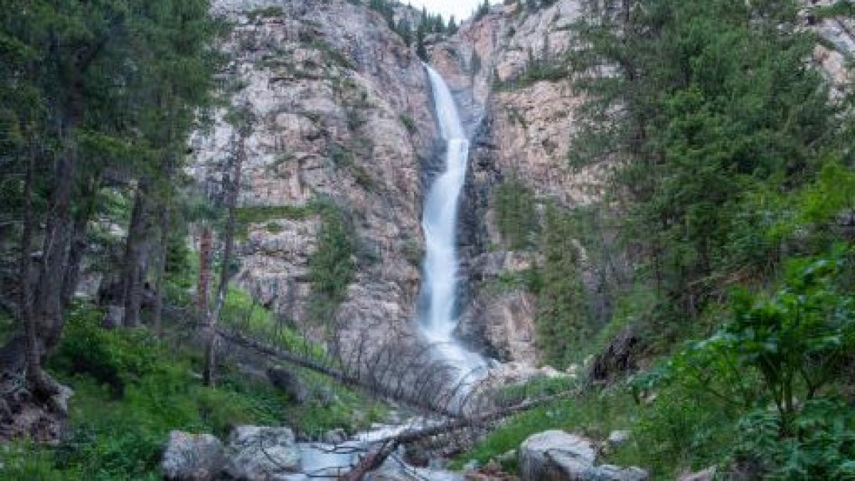  Жетісу облысының әкімдігі 